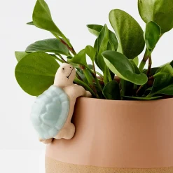 Online GigiandTom Timmy Turtle Ceramic Pot Hanger